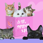 11<b>키</b><b>티즈</b> 얘네 광고찍은거좀 봐봐 ㅠㅠ