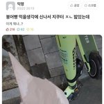 [ㅈㄱㄴ] 얘들아 이거 비정상이다vs그럴 수 있다