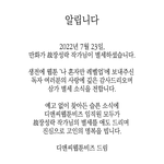 ㅁ친 나 혼자만 <b>레벨업</b> 작가님돌아가심