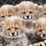 [NCT드림] <b>빙의</b>