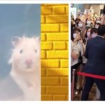 [방탄소년단] <b>존</b>똑ㅋㅋㅋㅋㅋ