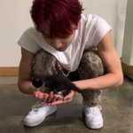 [엔하이픈] 아기고양이와 아기고양이의 <b>만남</b>