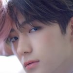 <b>덥즈</b>는 현재가 넘사긴 하다