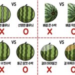 짝남이 나 좋아한다고 착각