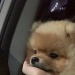 [댓글부탁해] <b>여운</b> 오지는 웹툰 추천해조