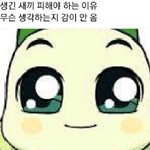 얘들아 기저귀닦는다는 노래 제목 아는 사람....