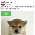 [19] 너희 성적표 집으로 <b>발송</b>함?