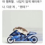 [드루와] 나 너무 <b>도끼</b>병(?) 있는것같음