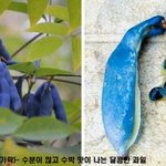 비주얼로 <b>오해</b>받는 이상한 진미들