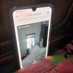 [귀여운동물] 안쓰는 중고폰, 무료 <b>cctv</b> 만들어주는 집사앱