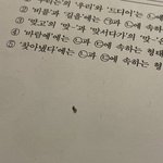 와 나 몇 년 동안 겨드랑이에 있던 개큰 블랙<b>헤드</b>(?) 제거함