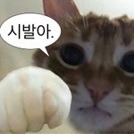 [드루와] 근데 요즘은 판에 글쓰기도 무서움