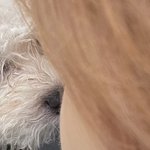 [더보이즈] <b>영후</b>니 이거 뭐임 뭔사진임