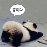 엄마가 내 식습관 걱정하는데