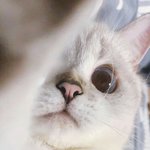 나 거의 <b>맨날</b> 엄마랑 싸움