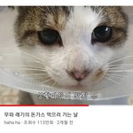 [댓글부탁해] 엣팁 엣<b>티제</b>들 들어와봐