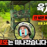 육사오 <b>메인</b> 예고 떴음!