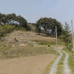 [댓글부탁해] [원본지킴이] (추가)와이프한테 <b>무리</b>한 부탁인가요?