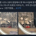 [NCT드림] 빨간차 <b>토롯코</b>...