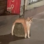 [댓글부탁해] 얘들아 내가 너무 <b>예민</b>한건가??