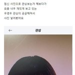 우영우 병아리 <b>관상</b> ㅋㅋ