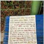 어느 대학교에 붙은 캣맘의 경고문