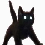 쌍수 <b>라인</b> 봐줄 사람ㅠㅠ