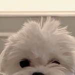 [19] <b>나시</b> 입었을 때 겨두랑이 쪽에 살