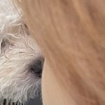 오늘도 김영훈 볼 사진 <b>쿨타임</b> 찼다