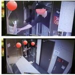 부산, 엉만튀사건 ㄷㄷㄷ