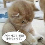 나 마라탕 <b>먹말</b> 추반해줘