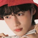 이정도면 취향 소나무??