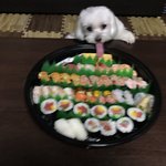 [댓글부탁해] 너희 부모님이랑 서울가봄??