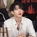 호시 캐릭터 뭔가 웃긴게
