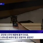 <b>심리스</b> 빤스 입는사람