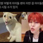 와 아이돌 극한<b>직업인</b> 거 다시 체감함