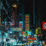 이런 뒷세계 <b>감성</b>? 좋아하는 사람 있으려나