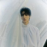 엔하이픈 <b>폴라럽</b> 컨셉 조카 아깝다