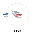 연세대 약대vs고려대 한의대