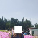 다이어트 11일차 -4.3kg 감량