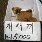 [드루와] 연애해본애들만)남친이 서운해할<b>일임</b>?추반