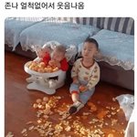 너네 삶의질 올려준 아이템 있냐