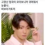 [방탄소년단] 오류난 아기토끼