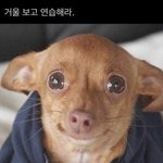 [댓글부탁해] 근데 <b>잇올</b>에 과잠 왜 입고 오는거임?