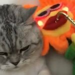 <b>플리</b> 가수 있는지 없는지 추반하자