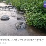 [댓글부탁해] 지금 당장 똥싸는법