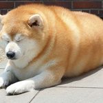 [뷰티] 지금 판 눈팅하는애들 특징.jpg
