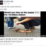 솔직히 남자들은 여자만나려면 부모도 죽일수있음