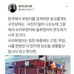 수리<b>부엉이</b>와 솔<b>부엉이</b>의 온도차