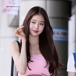 일간 스포츠 로고봐